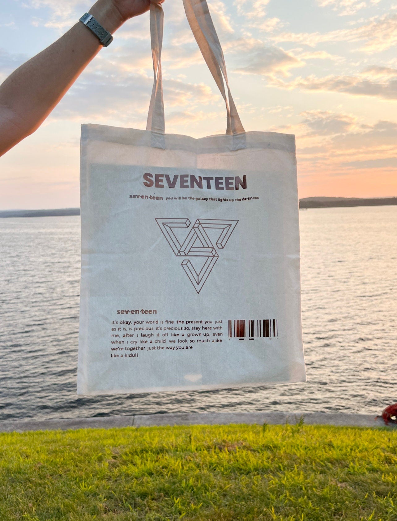 seventeen kidult tote