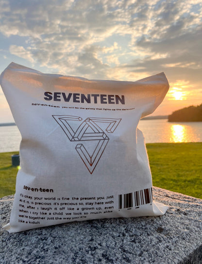 seventeen kidult tote